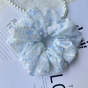 yzMasvan VV  l  VV 傫 ԕ {[ S 5F wAS  wAANZT[ FFu[