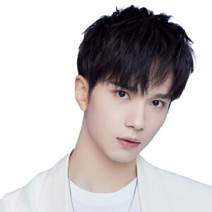 yzJ & S EBbO Y l100% tEBbO ×p j V[g jpEBbOCP FFRF/VNނA