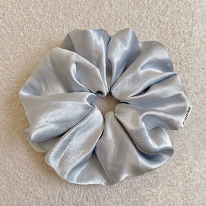 yzMasvan rbOVV  l VV 傫  {[ S n Vv 6F wAS l   wAANZT[ fB[X ܂Ƃߔ F