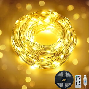 yzNAqiClearhilljFairy Lights 20 M/65 FTg200 LED USBR[hVAvAhARƃ^C}[tAQANX}Xc[ACeA8ނ̃[hv