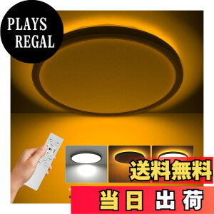 �y���������zCoizabera LED�V�[�����O���C�g 6�� 3600lm �Ԑڌ��t�� ��铔 �������ȓV��Ɩ� ��30cm �����E���F�@�\ �ɔ��f�U�C�� �������[�h���� ���͋C�����o����i�C�g���C�g �d�C�u���� ��