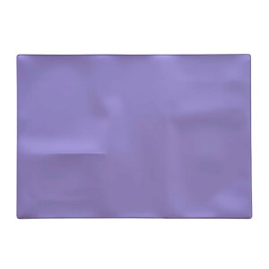 【送料無料】HoPeople 車検証ケース 車検証書ケース 車検証入れ 電子車検証ケース 新規格 電子車検証 (パーブルA(自賠責ポケットなし))