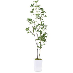 【送料無料】フェイクグリーン 人工観葉植物 【アセビ 馬酔木】高さ110cm 観葉樹 造花 光触媒 空気清浄 屋内 オフィス 鉢植え 植木