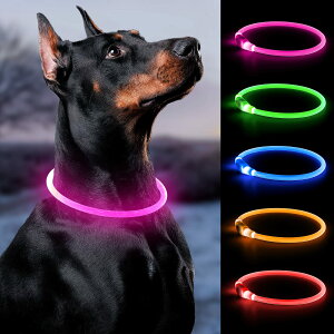 【送料無料】Bpawser 犬首輪 犬光る首輪 犬LED首輪 LED発光首輪 USB充電式 サイズ調節可能 軽量 犬猫用 夜間犬の散歩用 小型犬 中型犬 大型犬