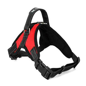 yzpn[lX[_[Zbg   bV \tg Ȃ ʋC ߉\ h~ ^ ^ U/P/o| (S, bh)