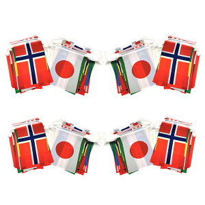 yzIriwa  E  100 S25m { ̊ۗL ^  tFXeBo ی  (4gZbg100m)