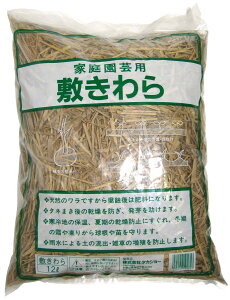 yz^JV[ _Ǝ ~ 12L  R V 悯 ې ؂ی VR