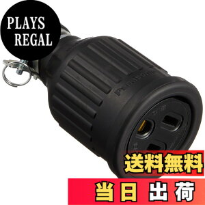 �y���������z�p�i�\�j�b�N(Panasonic) �h���S���R�[�h�R�l�N�^�{�f�B �ڒn2P �u���b�N WA3519K