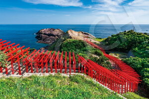 yzG|bN 1000s[X WO\[pY T_-R (50x75cm) 09-049s ̂t wt _t EPOCH