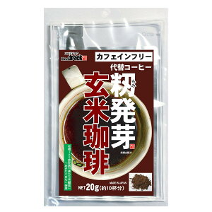 yzyGRfpbNzEcodpack i݁j茺 20gi10tj