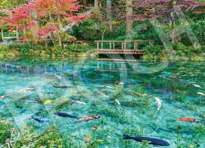 yzG|bN 500s[X WO\[pY {i Ȃr- (38×53cm) 06-306s ̂t wt _t EPOCH