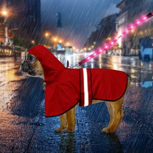 yzWeesiber pCR[g- h߉\Ȕˌ^̃CWPbgAy ʋC Xqt Up h h EȒP ~J΍ ^^^pJbp (bh, S)