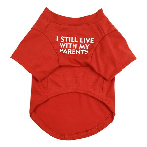 yzJimjis  t  H ~ ̕ ^Ngbv ybg   L    hbOEFAm L̕ ʋC Lk U o  ѕی 