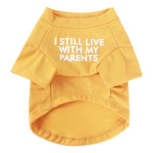 yzJimjis  t  H ~ ̕ ^Ngbv ybg   L    hbOEFAm L̕ ʋC Lk U o  ѕی  CG[