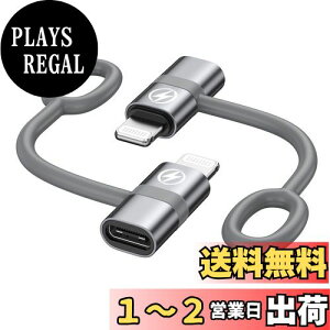 yzRAVIAD Type C to CgjO ϊA_v^ (2Zbg) 36W PD}[d PD`bv f[^] USB-C i-Phone ϊRlN^ A~O VRoh݌v ^CvCiOSϊ