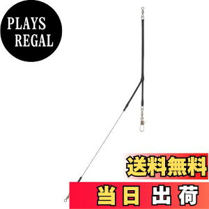 yz_C(DAIWA) V [fBOA[3 1.0mm-35cm