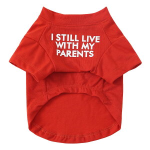 yzJimjis  t  H ~ ̕ ^Ngbv ybg   L    hbOEFAm L̕ ʋC Lk U o  ѕی  bh