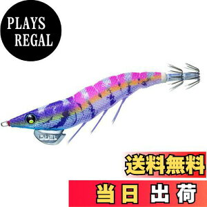 yzDUEL(fG) GM EZ-Q _[g}X^[g 2.5 24:sN CJނAAICJAGMO