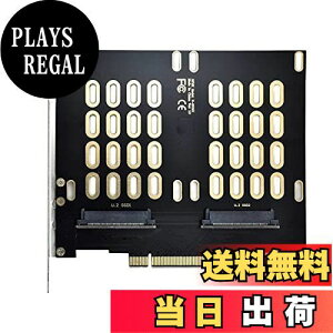 yzNFHK fA 2X U.2 SFF-8639 SSD - PCIE Express 3.0 Gen3 X8 X16 RAID J[h VROC Raid0 nCp[A_v^[