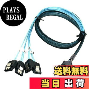 yzNFHK ~jSAS SFF-8643^[Qbg4 SATA 7szXgn[hfBXNf[^RAIDP[u