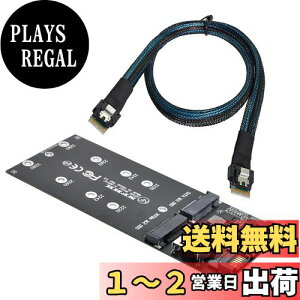 yzNFHK SFF-8654 SLIMLINE SAS NVME PCIe SSD SATAA_v^ւU2LbgNGFF ML[ւ̃P[u