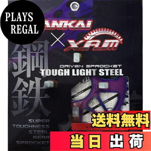 yzCi iJC(NANKAI)B2104 XAM ^tCgX`[ 42T GCv50E100(Type-Ds)/_bNX/L[RERT/}Oi50/JAZZ/WJu/WmNA