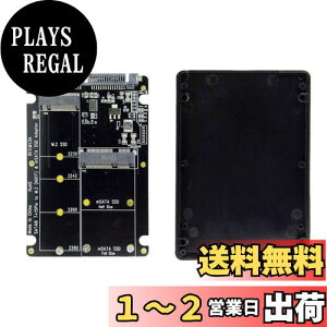 yzNFHK 2C1R{ M.2 NGFF B-Key & mSATA SSD to SATA 3.0 A_v^[Ro[^[P[XGN[W