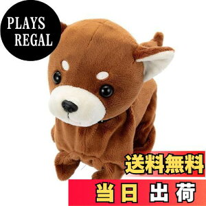yzZKtFCu (SEGA FAVE) RR Premium `