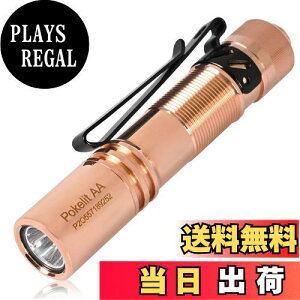 yzACEBEAM Pokelit AA d ^ y  550[PO 3iK F Ra90 IP68h ő9̎s 肵ptH[}X イłƂ ledCg tbV