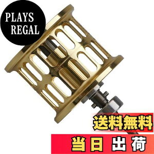 yzHEIGHTEN [ Xv[ _C(DAIWA) PR100 PT100 xCg[ ւXv[ xAOt (S[h) (421)