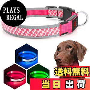 yzKpuplol LED   Cg U q  pP ^A^A^p ybgpiTPUޗ[500m悩ڎ\] ybg  S h X[ ~fBA 