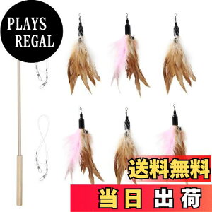 yzSONGWAY L  L炵 ˂ ˂炵 ZVRH 邪 VR؂ōꂽŒނ
