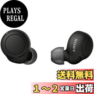 yz\j[(SONY) SCXCz WF-C500 : /yʏ^5.4g/xʘbi/ȒPyAO/IPX4hH\/ubN WF-C500 BZ
