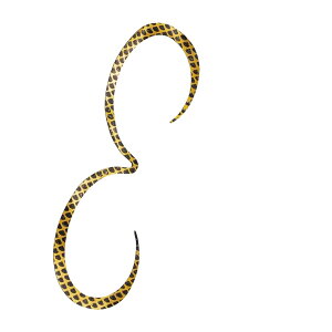 �y���������z�V�}�m(SHIMANO) �^�C���o �l�N�^�C ���� �X�g�����O�J�[���[ 005 �u���b�N�S�[���h 135mm �� ���A�[�p�[�c