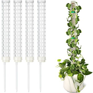 yzPhyxiul | Ax X|[x 4{Zbg A ϗtA AT|[g A̐T|[g A̓oRɎgp ێ |pc[ (zCg)