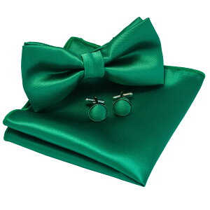 yz[JEMYGINS] nlN^Cƃ|Pbg`[t JtX{^t Y 