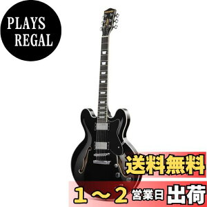 yzDonner Z~ARM^[ GLM^[ Z~AR[XeBbNM^[ Z~zE{fB _uJb^EFC Jazz Electric Guitar with Semi-Hollow Body ubN DJP-1000D
