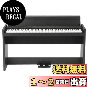 yzKORG RO dqsAm 88 LP380 USB [YEbhEubN { ݂ؐ wbhtHƃy_t