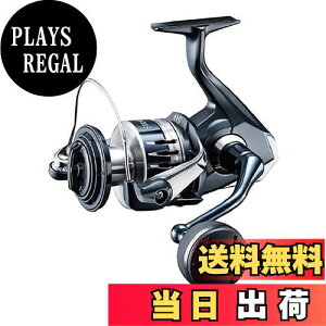 yzV}m(SHIMANO) XsjO[ 20 XgfBbNSW 8000PG O[