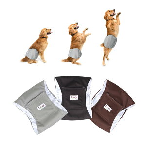 yzLuxja p}i[xg j̎q bV h Lk 3_Zbg }[LO R炵 o  p(XS,+O[+R[q[F)