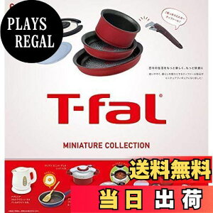 yzT-fal eBt@[ ~j`ARNV CAPSULE S6 PGt@g