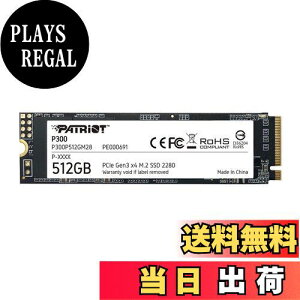 yzPatriot Memory P300 512GB M.2 SSD 2280 NVMe PCIe Gen 3x4 ^SSD P300P512GM28