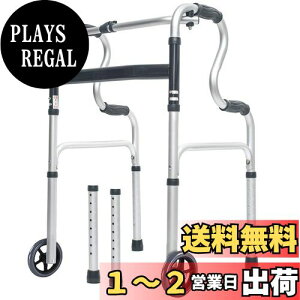 yzCific ܂肽ݕs  オ 8i Œ聕LX^[։iMisty Silverj