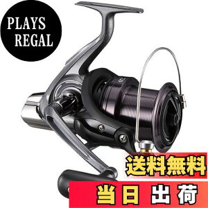 yz_C(DAIWA) XsjO[(E) 17 NXLXg 5500(2017f)