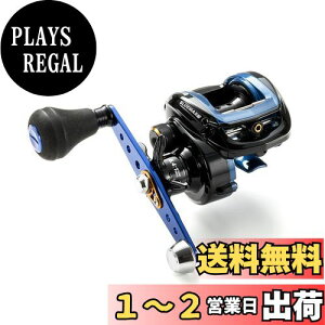 yzAbuGarcia (AuKVA) BLUEMAXD3 E Dނ p[nh [ xCg[