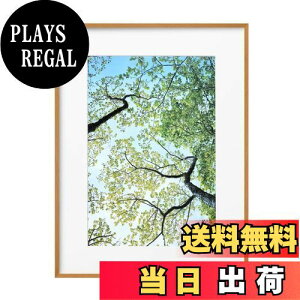 yznNo HAKUBA y z ZEROt[ G-01 A3mr i` FZG01-A3NNT