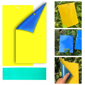 yzyBEAUTY PLAYERz SV[g ߒV[g hV[g 20 20*10mm ߂SV[g QߊlS ЖʂFAЖʂ nG莆 Q΍pi ʋ͔SߒV[g 