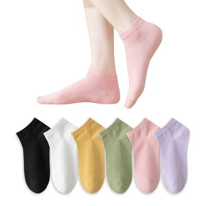 yz[SijiRuge] C fB[X   Ԃ EȂ yR hL ȁz 6g 22-25cm Zbg Jt C n V[g\bNX ʊw  ʋC z