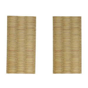 yzjgY CV[g  50mm×100mm 2 M5332