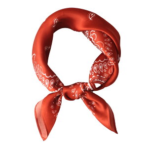 yz[BRMM MIA] 100% VN 53cm `fB[X XJ[t ʋ gItBXXJ[t nJ` XJ[tVN o^CMtg (Dark Red)